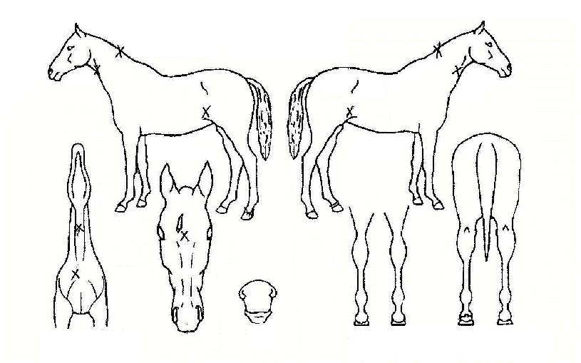 ȯ���ǹ����� ����,���,�޸�,�λ�,�ٸ��� Ư¡����