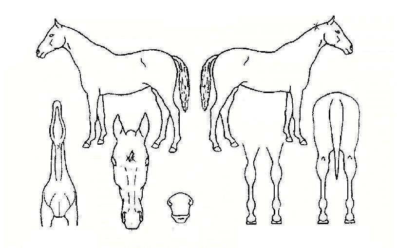 ���丮�������� ����,���,�޸�,�λ�,�ٸ��� Ư¡����