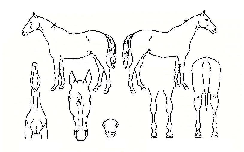 ��ǰ��ġ�� ����,���,�޸�,�λ�,�ٸ��� Ư¡����