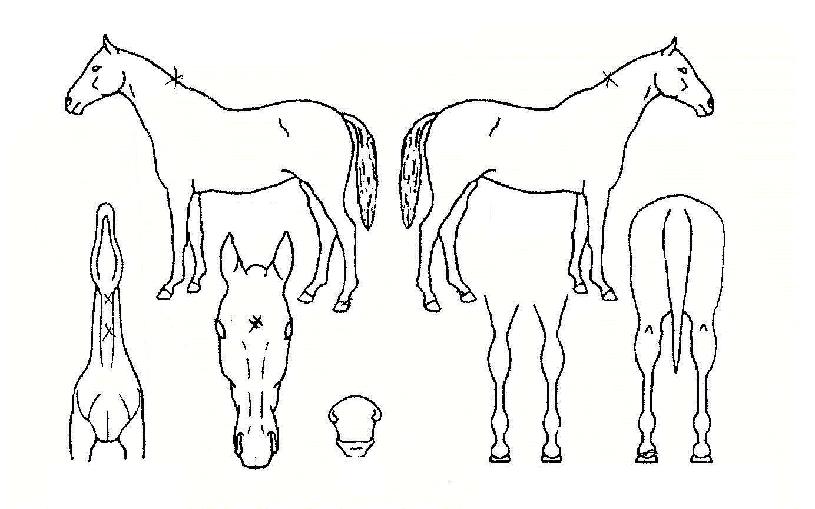 ��Ű������ ����,���,�޸�,�λ�,�ٸ��� Ư¡����