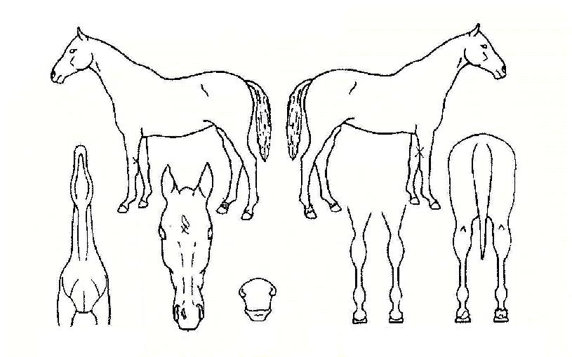 ���̽����� ����,���,�޸�,�λ�,�ٸ��� Ư¡����