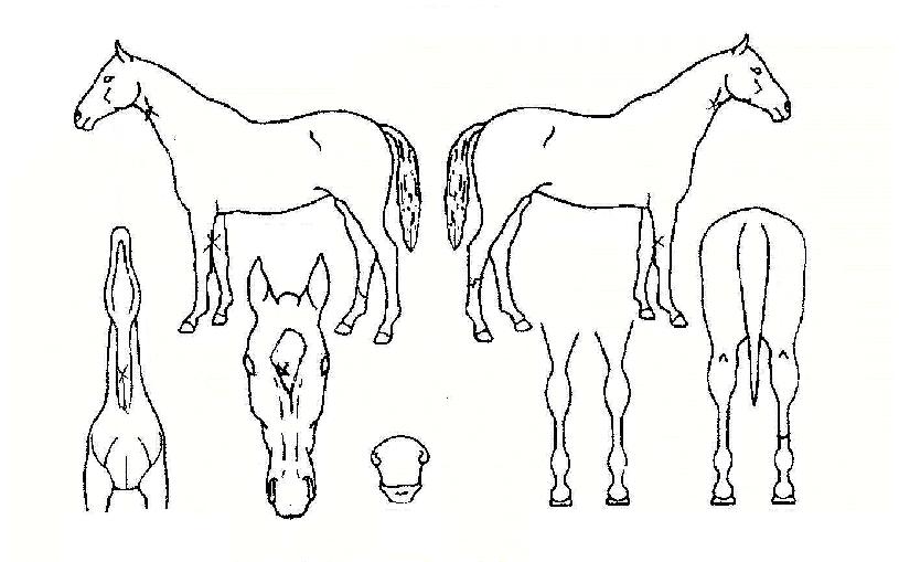 �ڿ���� ����,���,�޸�,�λ�,�ٸ��� Ư¡����