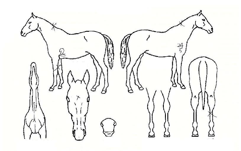 �����ý��� ����,���,�޸�,�λ�,�ٸ��� Ư¡����