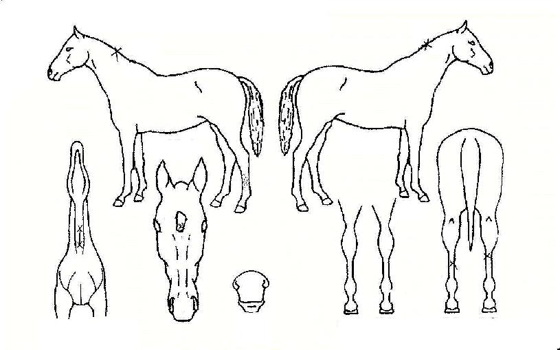 ���¾����� ����,���,�޸�,�λ�,�ٸ��� Ư¡����