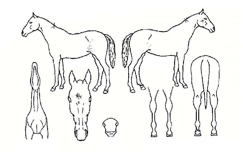 ��������� ����,���,�޸�,�λ�,�ٸ��� Ư¡����