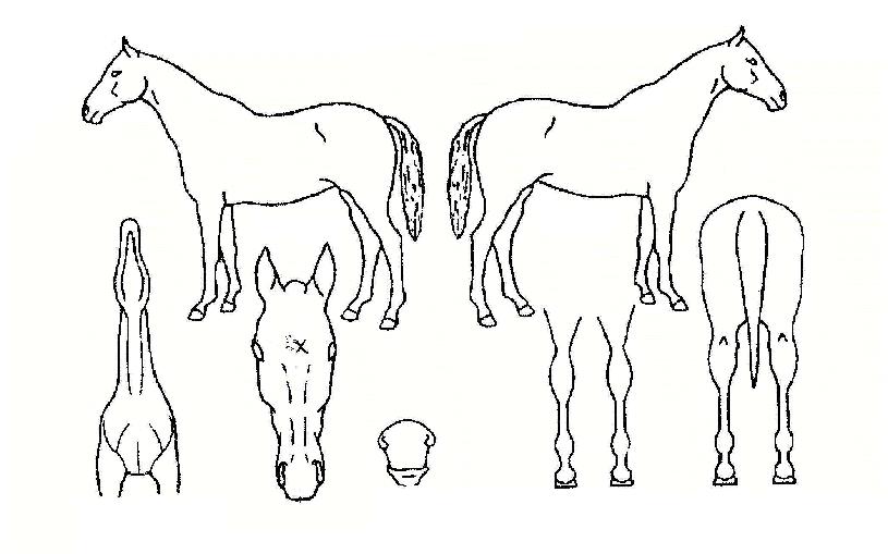 ��������� ����,���,�޸�,�λ�,�ٸ��� Ư¡����