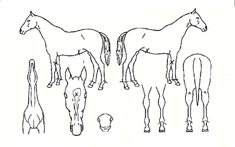 ȭ���� ����,���,�޸�,�λ�,�ٸ��� Ư¡����