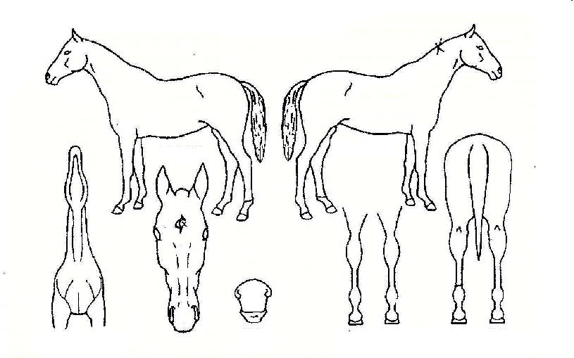 ��ո����� ����,���,�޸�,�λ�,�ٸ��� Ư¡����