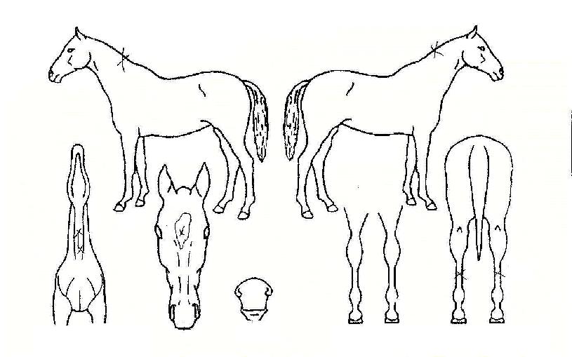 °ÔÀÌÆ®ºê¸®ÁöÀÇ Ãø¸é,¿ì¸é,µÞ¸é,µÎ»ó,´Ù¸®ÀÇ Æ¯Â¡µµÇØ