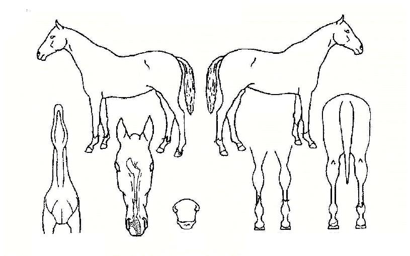 ���׸ӽ��� ����,���,�޸�,�λ�,�ٸ��� Ư¡����