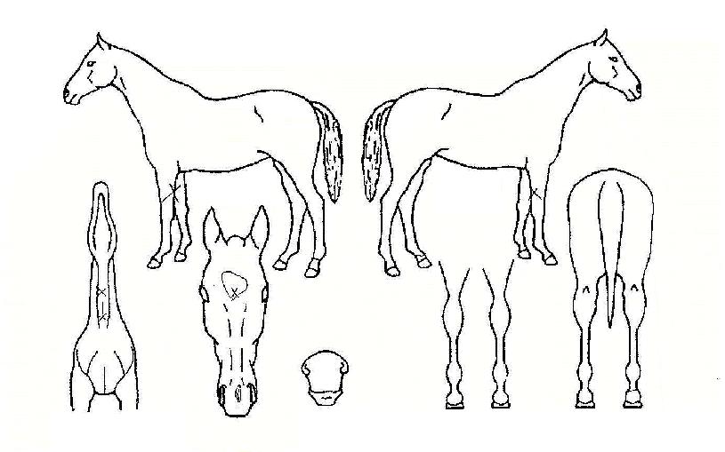 ���ۻ����� ����,���,�޸�,�λ�,�ٸ��� Ư¡����