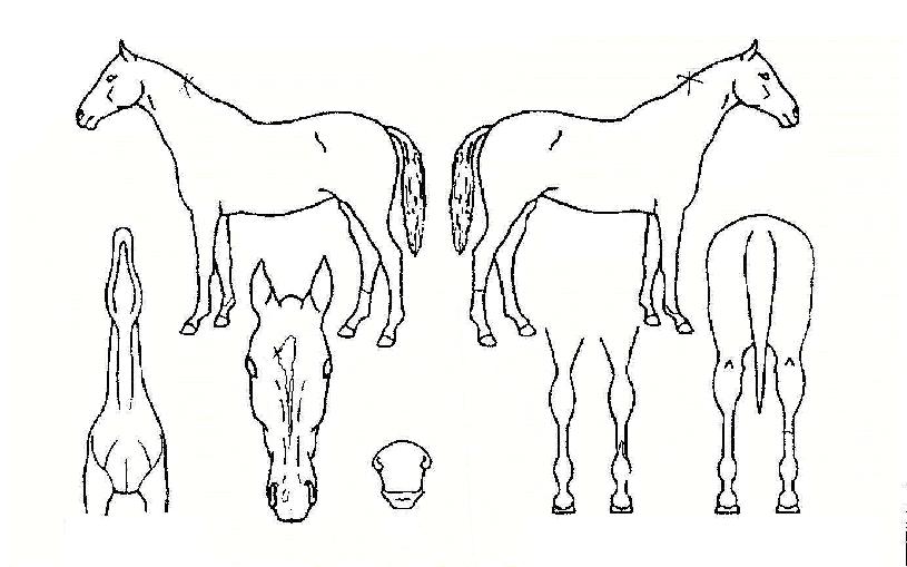 ȯ���ǲ��� ����,���,�޸�,�λ�,�ٸ��� Ư¡����