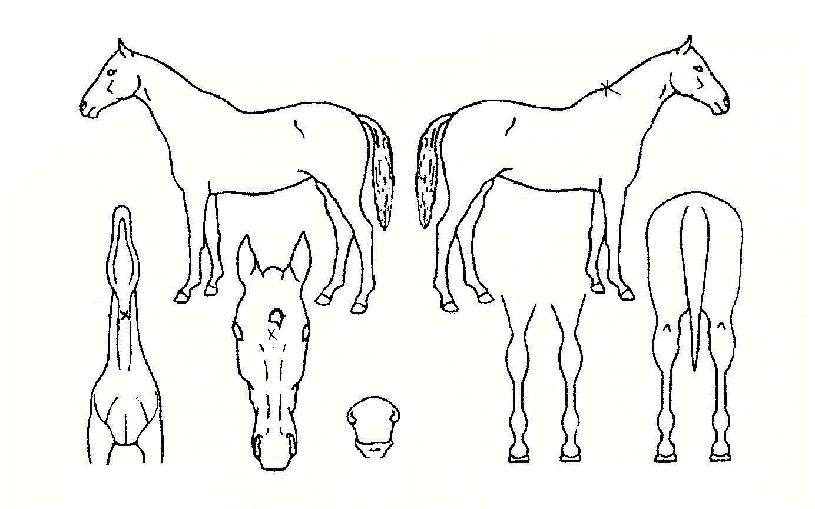 �̽��ͽ����� ����,���,�޸�,�λ�,�ٸ��� Ư¡����