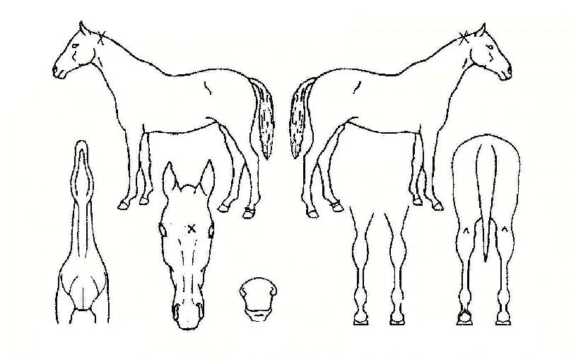 Ÿ������ ����,���,�޸�,�λ�,�ٸ��� Ư¡����