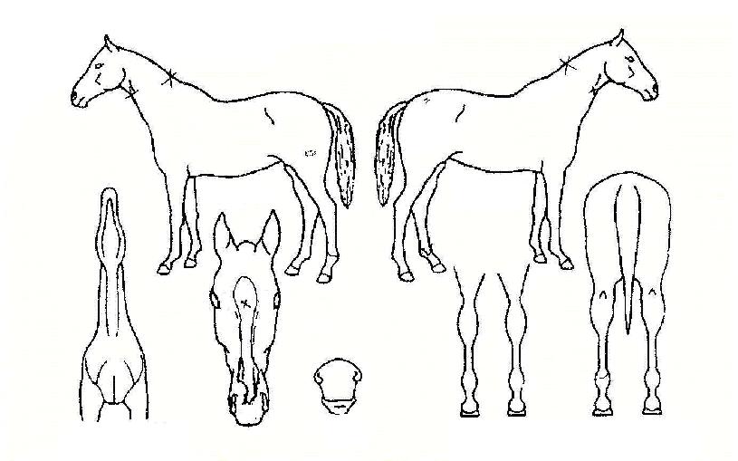 ���̴��� ����,���,�޸�,�λ�,�ٸ��� Ư¡����