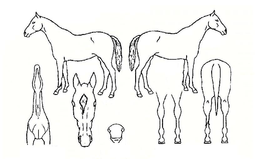 �ϴ�ó���� ����,���,�޸�,�λ�,�ٸ��� Ư¡����