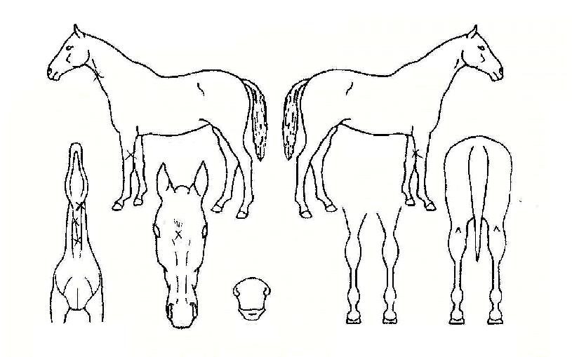 ū�������� ����,���,�޸�,�λ�,�ٸ��� Ư¡����