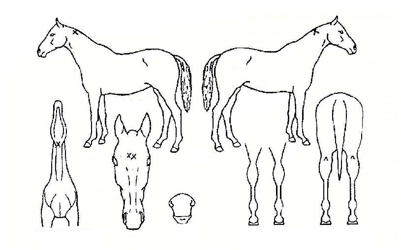 �����ȭ�� ����,���,�޸�,�λ�,�ٸ��� Ư¡����