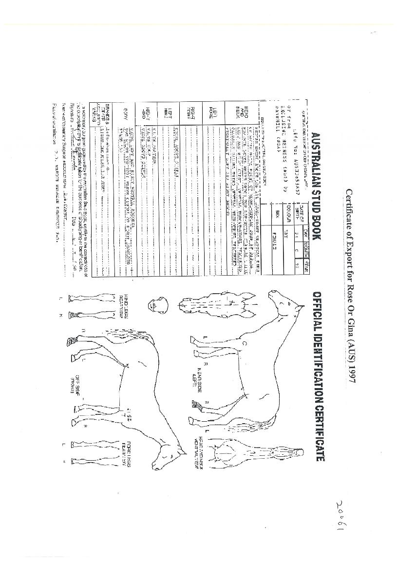 ������������� ����,���,�޸�,�λ�,�ٸ��� Ư¡����