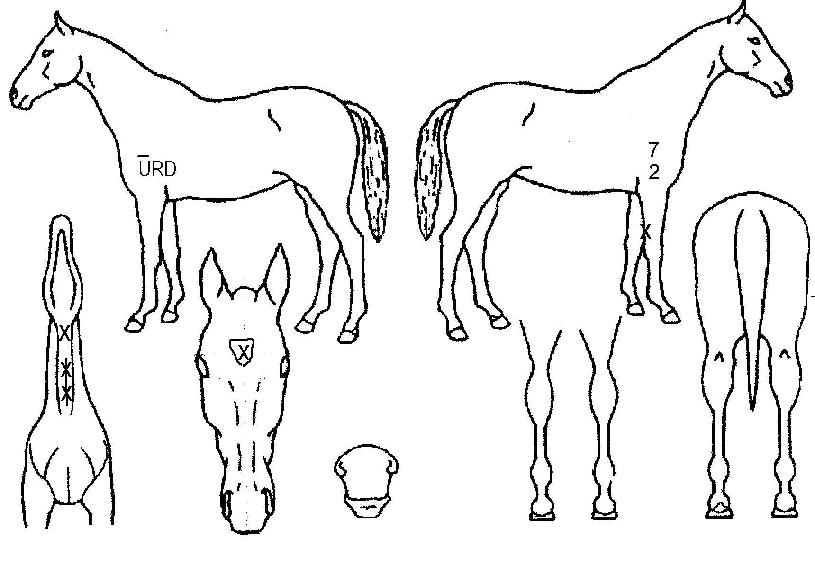 Ŀ�ַ������� ����,���,�޸�,�λ�,�ٸ��� Ư¡����