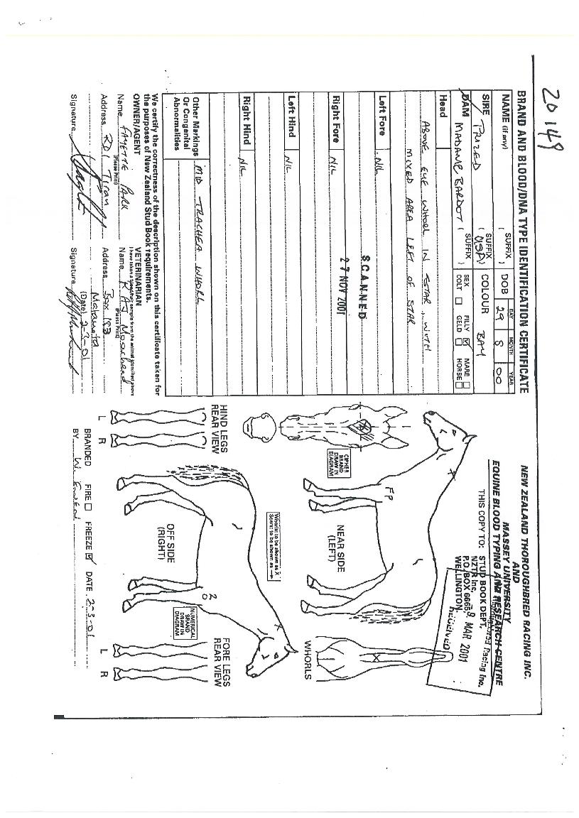 �븮���̼��� ����,���,�޸�,�λ�,�ٸ��� Ư¡����