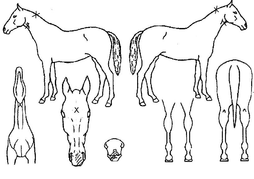 �����̽ü����� ����,���,�޸�,�λ�,�ٸ��� Ư¡����