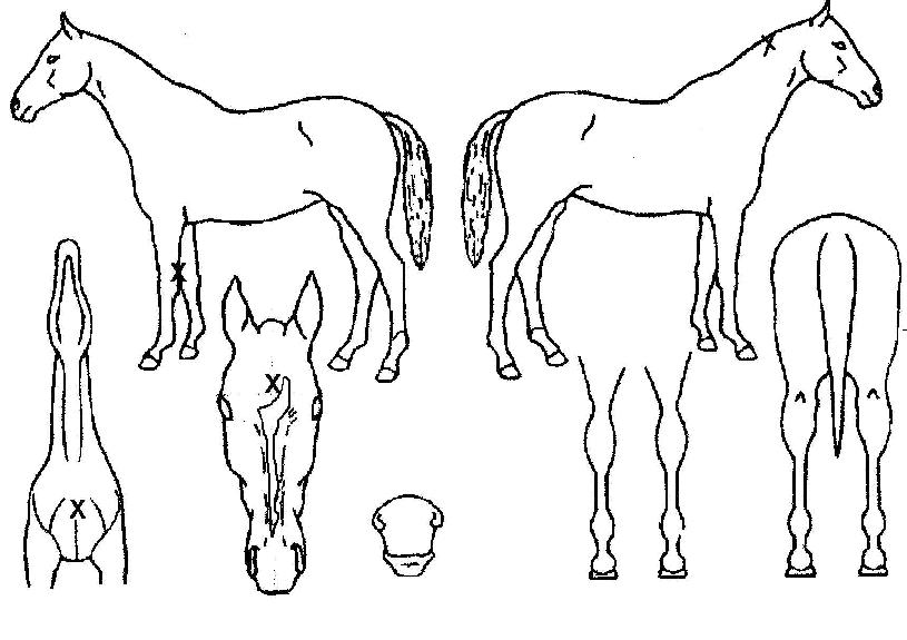 �������� ����,���,�޸�,�λ�,�ٸ��� Ư¡����