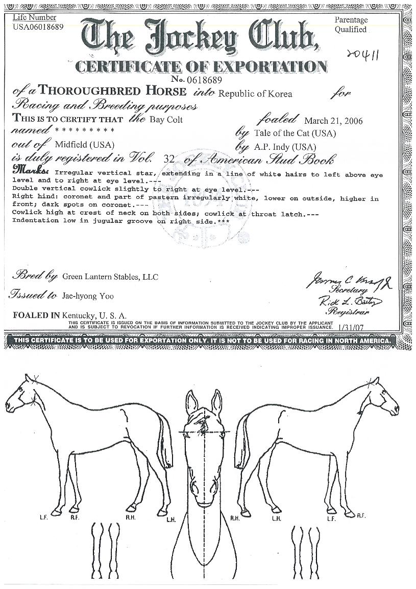 ´ëÀÚ¿¬ÀÇ Ãø¸é,¿ì¸é,µÞ¸é,µÎ»ó,´Ù¸®ÀÇ Æ¯Â¡µµÇØ