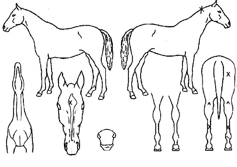 ���дϽõ������� ����,���,�޸�,�λ�,�ٸ��� Ư¡����