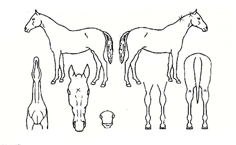 ����Ʈ������ ����,���,�޸�,�λ�,�ٸ��� Ư¡����