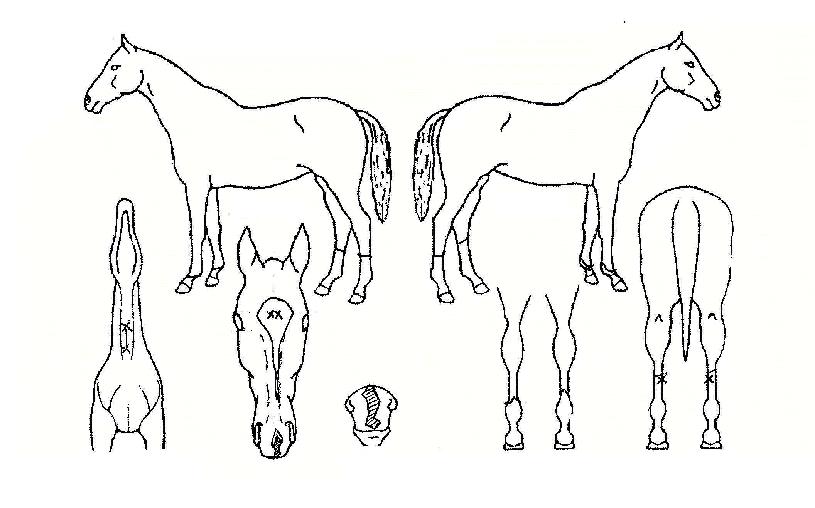 �������� ����,���,�޸�,�λ�,�ٸ��� Ư¡����