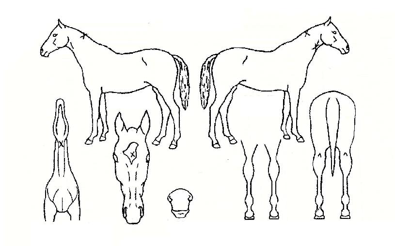 ȭ���ѿ�ǳ�� ����,���,�޸�,�λ�,�ٸ��� Ư¡����