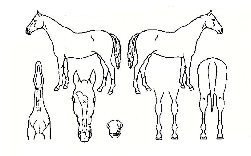 ¿ì¸®ÁýÀÇ Ãø¸é,¿ì¸é,µÞ¸é,µÎ»ó,´Ù¸®ÀÇ Æ¯Â¡µµÇØ