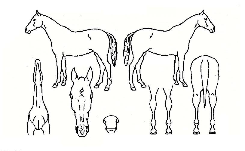 ��Ƽ���ζ����� ����,���,�޸�,�λ�,�ٸ��� Ư¡����