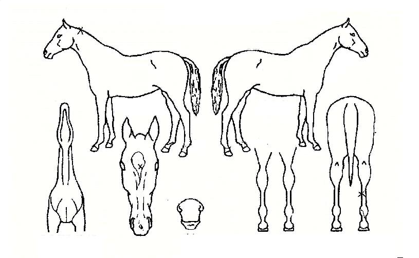 ��ũ�� ����,���,�޸�,�λ�,�ٸ��� Ư¡����