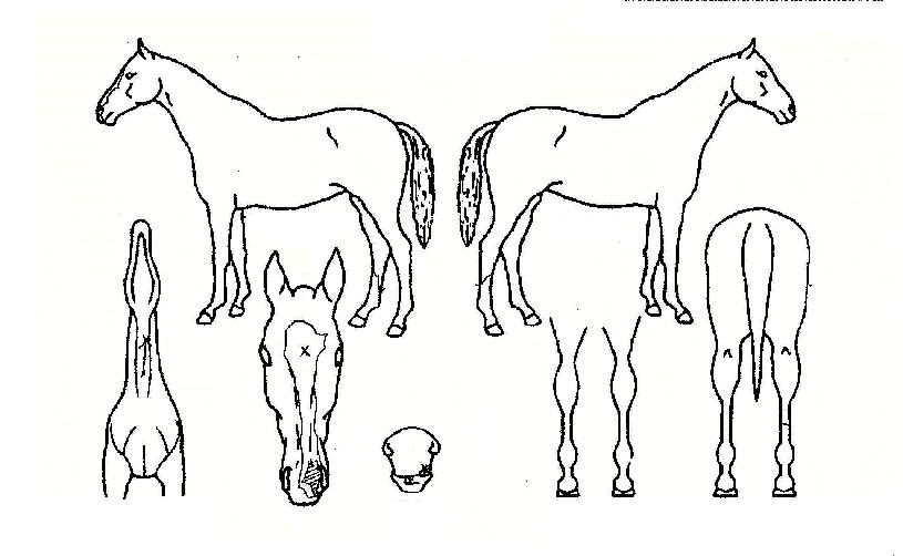 �̺������� ����,���,�޸�,�λ�,�ٸ��� Ư¡����