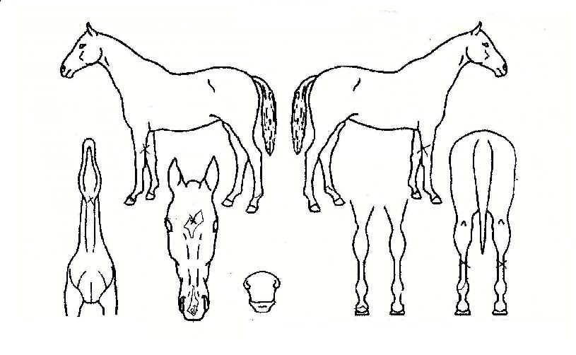 ����Ÿ�� ����,���,�޸�,�λ�,�ٸ��� Ư¡����