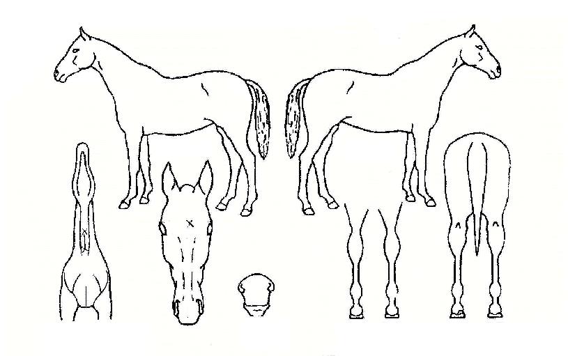 ´Ù½Ãº¸±âÀÇ Ãø¸é,¿ì¸é,µÞ¸é,µÎ»ó,´Ù¸®ÀÇ Æ¯Â¡µµÇØ