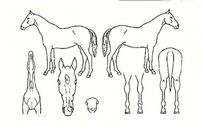 ��ũ�������� ����,���,�޸�,�λ�,�ٸ��� Ư¡����