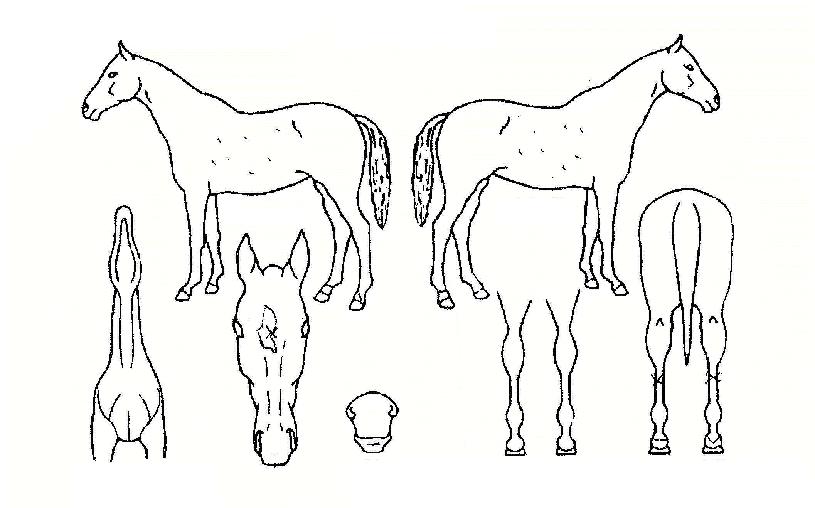 ����Ʈĭ�� ����,���,�޸�,�λ�,�ٸ��� Ư¡����