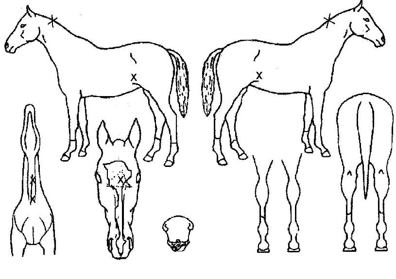 Ŀ�༨���� ����,���,�޸�,�λ�,�ٸ��� Ư¡����