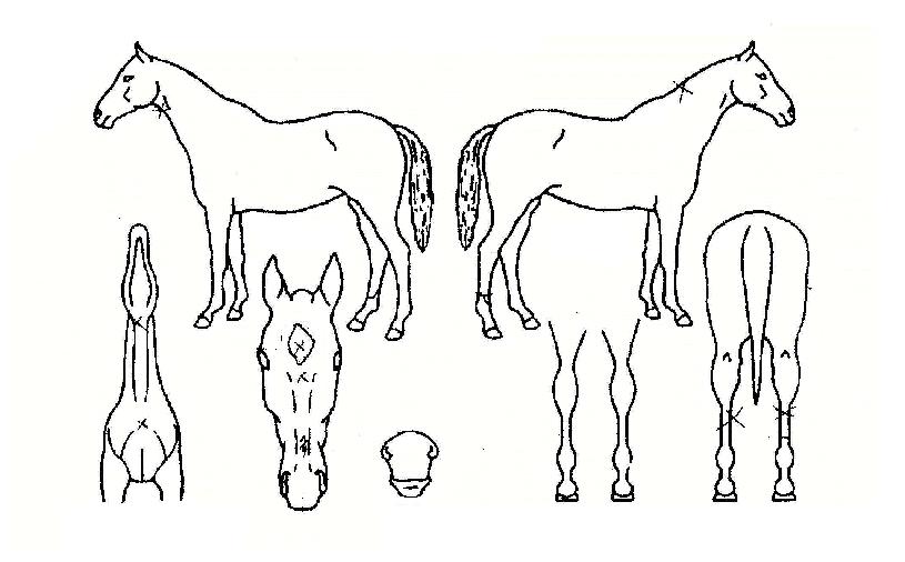 ȯ�������� ����,���,�޸�,�λ�,�ٸ��� Ư¡����