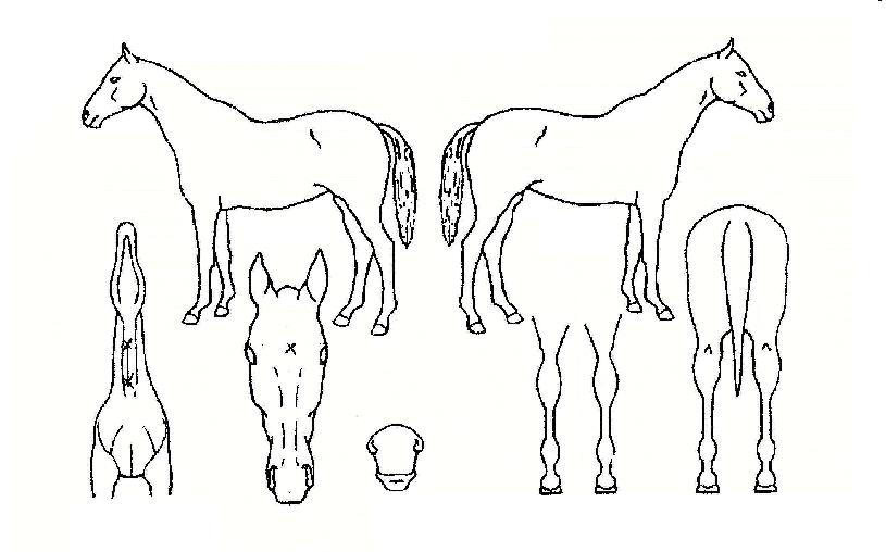 ȭ�������� ����,���,�޸�,�λ�,�ٸ��� Ư¡����