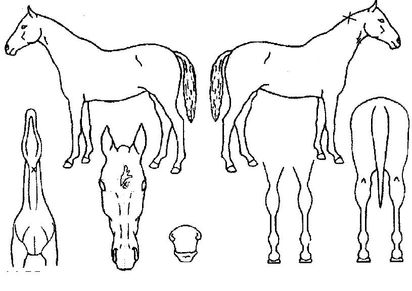 ������Ÿ�� ����,���,�޸�,�λ�,�ٸ��� Ư¡����