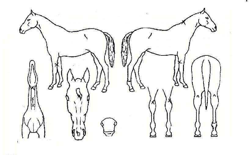 ȭ���� ����,���,�޸�,�λ�,�ٸ��� Ư¡����