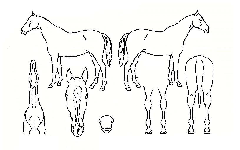 ���丮�̽��� ����,���,�޸�,�λ�,�ٸ��� Ư¡����