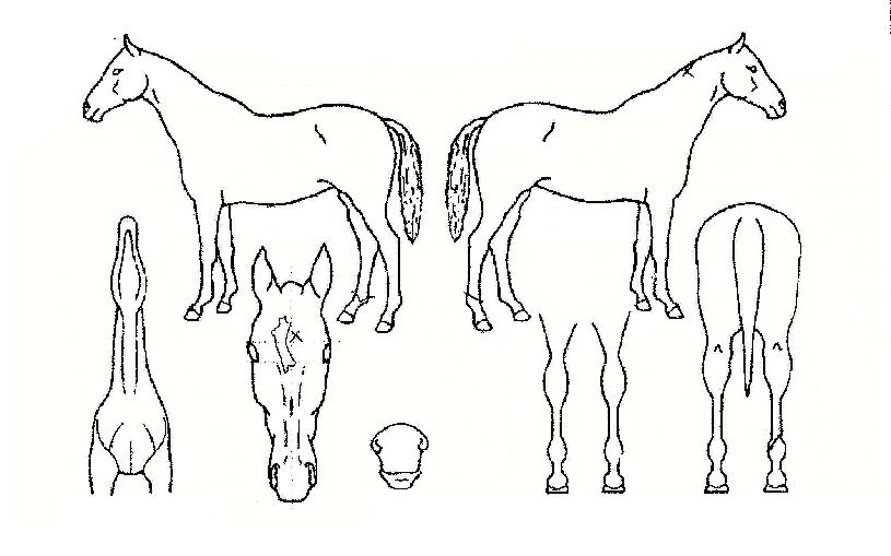 �����ƽý��� ����,���,�޸�,�λ�,�ٸ��� Ư¡����