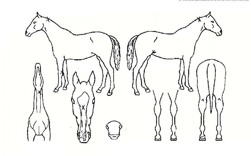 ���丮��ĸƾ�� ����,���,�޸�,�λ�,�ٸ��� Ư¡����