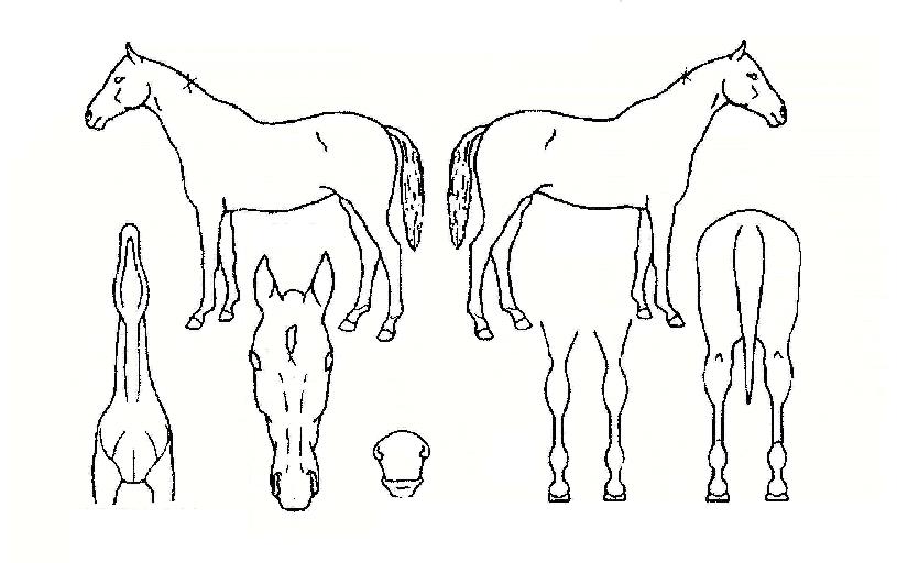 ¸ÞÀÌÅ©¸Ó´ÏÀÇ Ãø¸é,¿ì¸é,µÞ¸é,µÎ»ó,´Ù¸®ÀÇ Æ¯Â¡µµÇØ