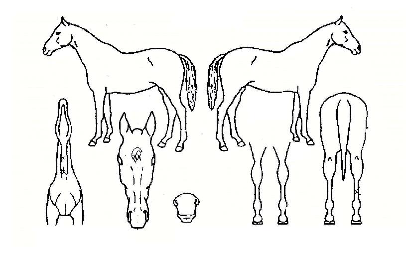 ¯¯�� ����,���,�޸�,�λ�,�ٸ��� Ư¡����